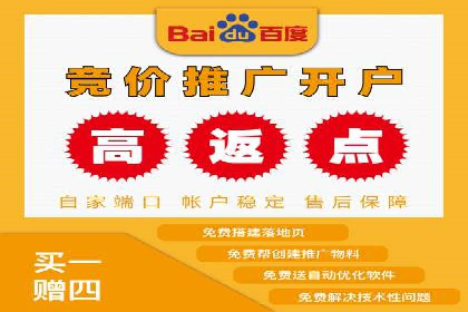 SEM运营推广策略：成功案例解析